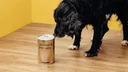 Animal & pet care
