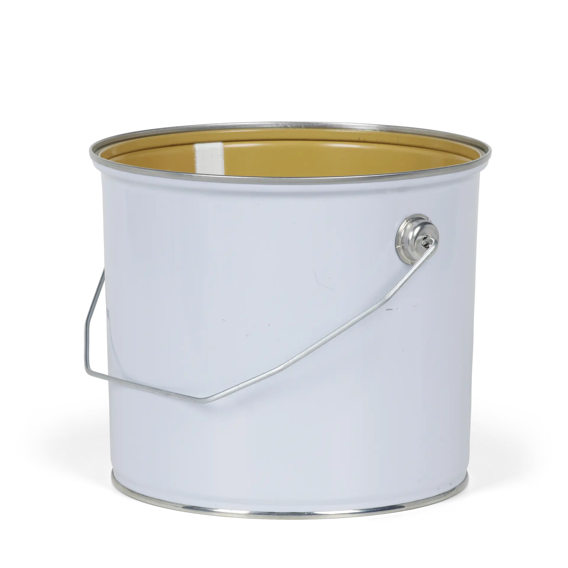 Pail Tulip 3-L.png
